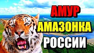 АМУР АМАЗОНКА РОССИИ!!! Могучая река Дальнего Востока! #амур