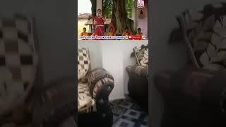#chhattisgarh#bharthari song#seema kaushik,album singer#shorts#pritam sahu#