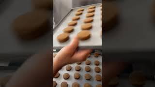 Fully automatic cookies wirecut machine with HMI screen #machine #fillingmachine #food  #bakery