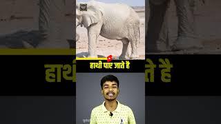 TOP 10 CRAZY FACTS ABOUT ANIMAL | MIND BLOWING FACTS | AMAZING FACTS | #shorts #ytshorts #facts