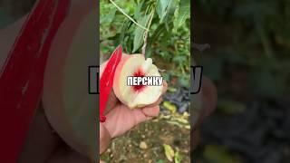 Кушайте это и будьте здоровы! Больше полезного по ссылке в профиле #здоровье #зож #правильноепитание