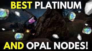 MUST Have Platinum AND Opal Nodes to Invest in Black Desert Online