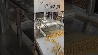 Pet food making machine,pet lecithin tablets making machine