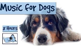 8 Hours of RelaxMyDog Music! Soothing Music for Dogs