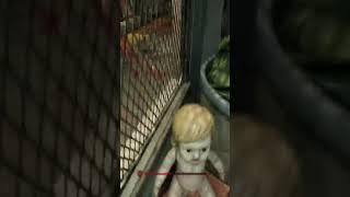 ПАНИКА#2 | #keltmor с помощью #Twitch
