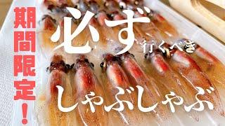 【期間限定】富山のオススメスポット「ほたるいかミュージアム」で人生初のしゃぶしゃぶ！