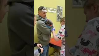 This dog hates the vet 