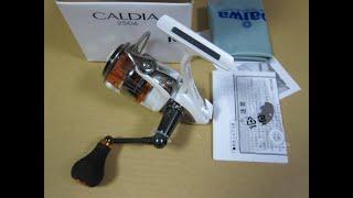 Обзор катушки daiwa 09 caldia 2506 (daiwa caldia kix). Продаю.