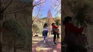 熟女|骚女|阿姨|少妇|歪果仁|更多各种视频|各种需求的视频QQ:64642324