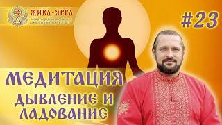 МЕТИТАЦИЯ: ДЫВЛЕНИЕ И ЛАДОВАНИЕ. Школа Живы и Жива-Ярги #23 Владимир Куровский