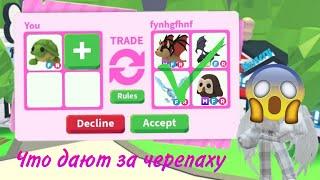 ТРЕЙДЫ НА ФР ЧЕРЕПАХУ В 2024 ГОДУ!!! *Что дали?* Roblox Adopt Me