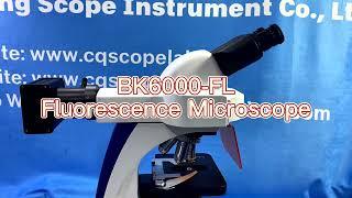 Binocular Fluorescence Microscope BK6000-FL Microscope Chongqing Scope