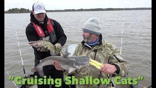 Fishing Catfish Cruising Shallows On Halloween