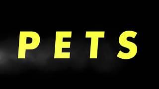 PETS CVI Video (from Keynote)