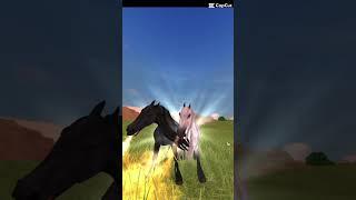 Black and White  #pferde #horse #sso #edit #starstable #game #starstableonline