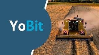 YOFARM Review: Farming with up to 1220% APY on YoBit.net