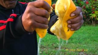 The World's Largest Lemon