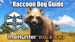 Raccoon Dog Guide At Salzwiesen Park - theHunter Call Of The Wild