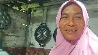 masak sayor temu  tanaman liar di hutan jati