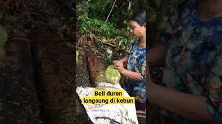 Duren enak dan mantap