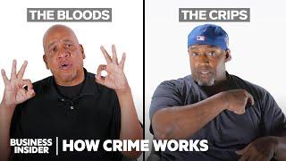 How The Crips And The Bloods Actually Work | How Crime Works Marathon | Insider