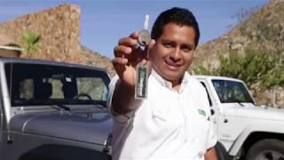 National Car Rental General