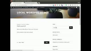 Inserting widgets into any WordPress page or blog post