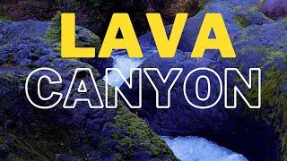 Absolute MUST SEE Lava Beds In Washington | Lava Canyon | Mount St Helens | Ep.5