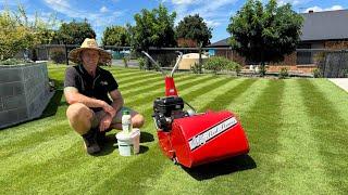 Time To Get Your Lawn Ready for Winter,  Update On This Stunning Sir Grange / Zeon Zoysia Lawn