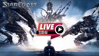 24.12.13(금) 【 인피쉰 생방송 다시보기 】 스타 빨무 스타크래프트 Starcraft