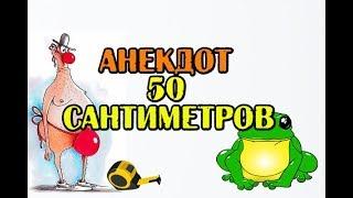 АНЕКДОТ ПРО 50 САНТИМЕТРОВ, Anecdote