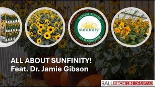 All About Sunfinity with Dr. Jamie Gibson