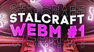 ПОДБОРКА МЕМОВ по STALCRAFT | STALCRAFT WEBM #1