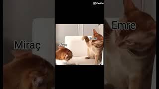 Emre Miraç'a bulaşıyo Miraç Emre'yi dövüyor