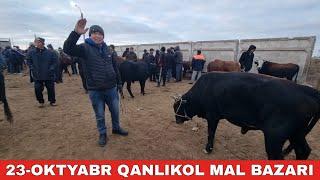 23-ОКТЯБРЬ/КАНЛЫКОЛ МАЛ БАЗАРЫ/СКОТНЫЙ РЫНОК/BUQALAR/BIG BULLS IN THE WORLD/BIG COW