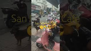 San Marino Cafe #shortsvideo #automobile #journey #travel #karaoke #music #nhatrang #food