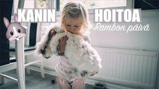 Kanin hoito | Angorakani Rambo | ELÄIMET