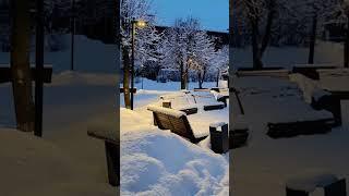 Зима это не только пальмы.