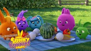 Piquenique | As Aventuras de Sunny Bunnies | Desenhos Animados Infantis