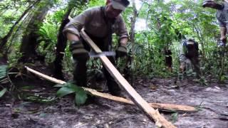 Randall's Adventure May 2014 Amazon Jungle