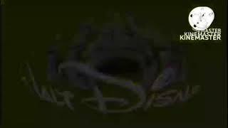 I Killed Walt Disney Pictures Pixar Animation Studios Logo in Luig Group
