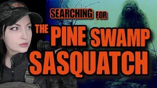 Bigfoot Research- Searching For The Pine Swamp Sasquatch - NEW BIGFOOT DOCUMENTARY