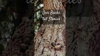 Your back carries a story #massage #massagetherapy
