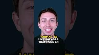 Como pronunciar "ANIMAL" como nativo de inglés americano