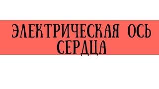 Определение ЭОС (электрической оси сердца) по ЭКГ в норме и при отклонениях - meduniver.com