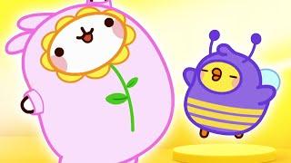 Molang | Dancers | Cartoons For Kids | Cartoons For Kids