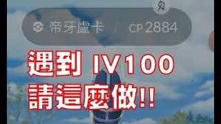 Pokemon Go - 遇到100神獸，請這樣做，比較好抓~~