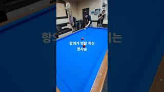 항의가 빗발 치는 꽃사슴