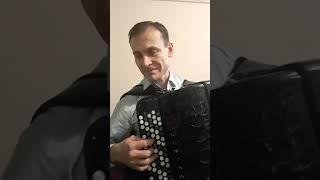 Баян "Подмосковные вечера "