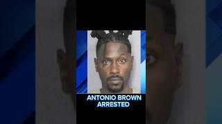 Former NFL Player Antonio Brown Arrested in Florida #nfl #shorts